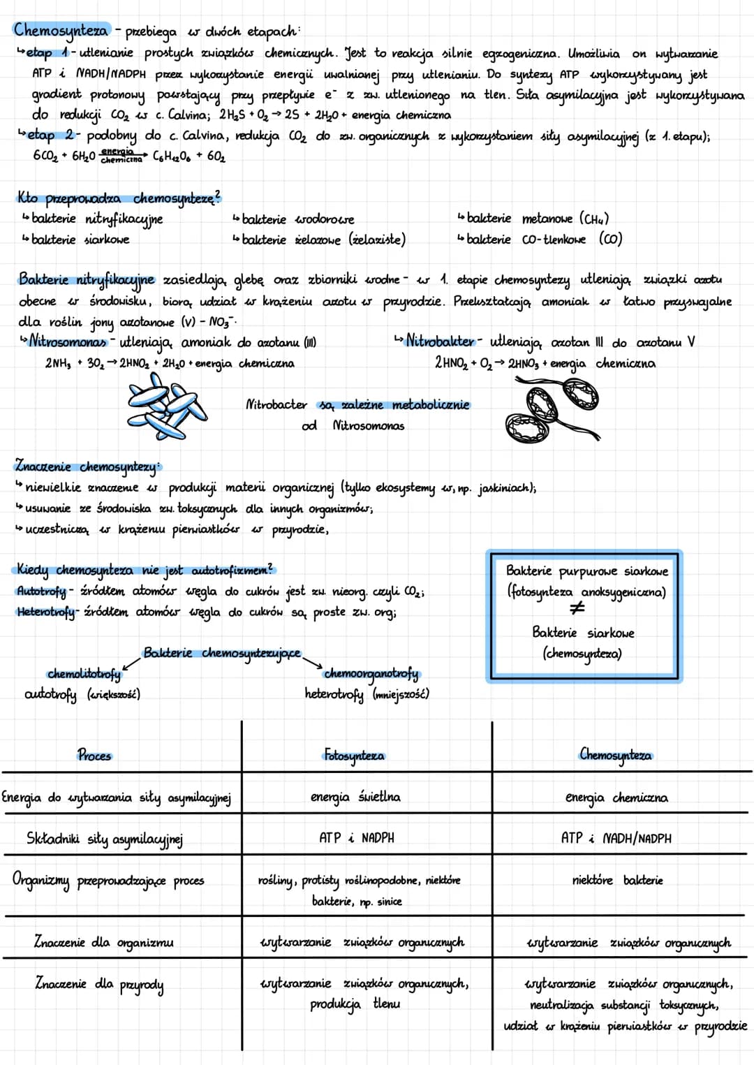 INNE PROCESY AUTOTROFÓW
Fotooddychanie - pozyskiwanie CO₂ do c. Caluina
Enzym rubisco (karboksylaza-1,5-bisfosforybulozy) katalizuje:
↳karbo