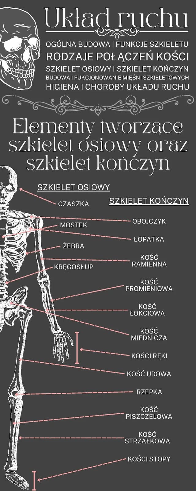 Know Układ ruchu thumbnail