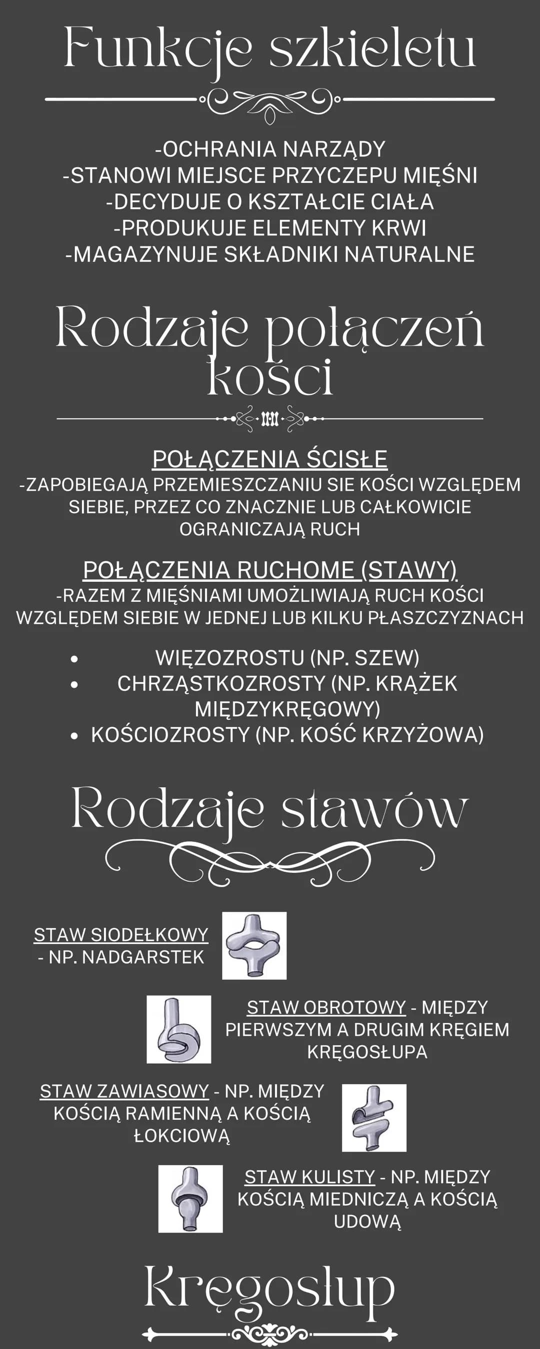 Cześć! Odkryj Funkcje i Budowę Mięśni Szkieletowych oraz Układu Kostnego
