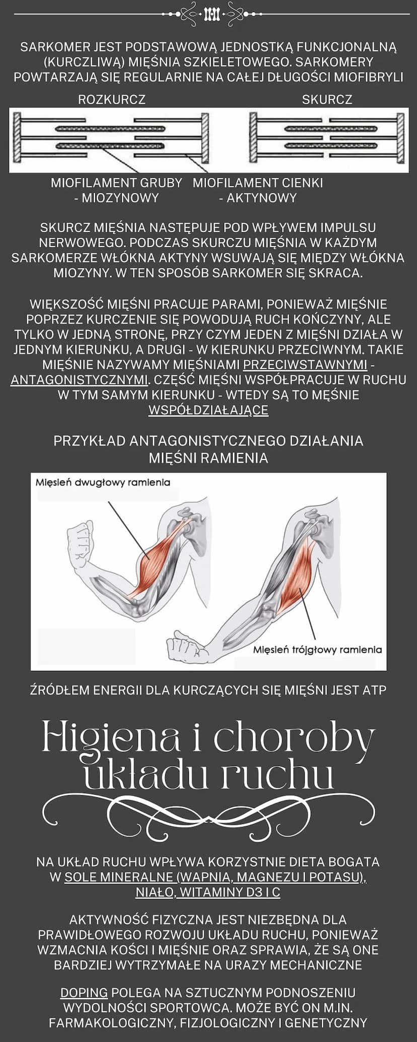 Uklad ruchu
OGÓLNA BUDOWA I FUNKCJE SZKIELETU
RODZAJE POŁĄCZEŃ KOŚCI
SZKIELET OSIOWY I SZKIELET KOŃCZYN
BUDOWA I FUKCJONOWANIE MIĘŚNI SZKIEL