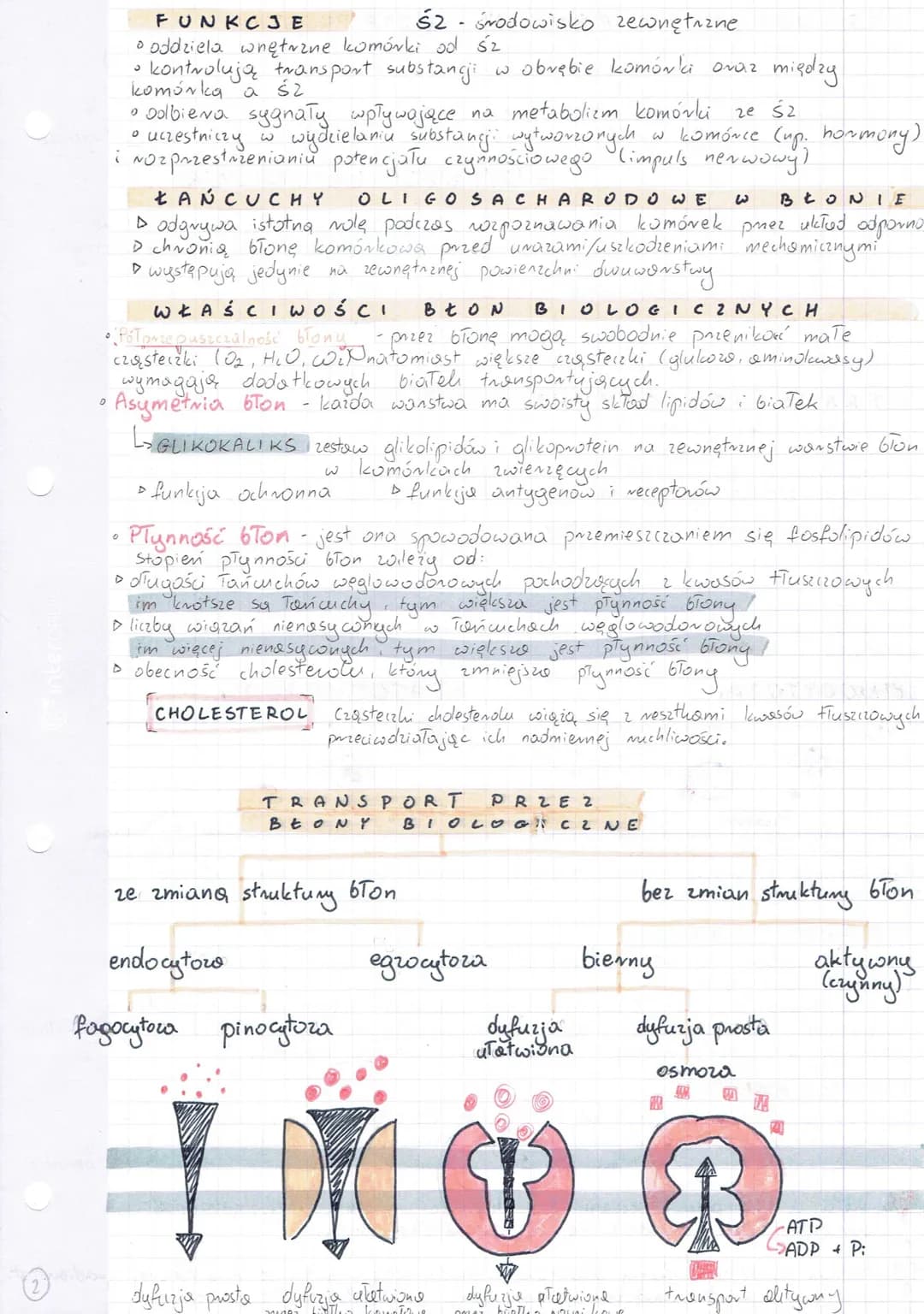 
<h2 id="definicjakomrki">Definicja komórki</h2>
<p>Komórka jest najmniejszą, podstawową jednostką zdolną do przeprowadzenia własnego metabo
