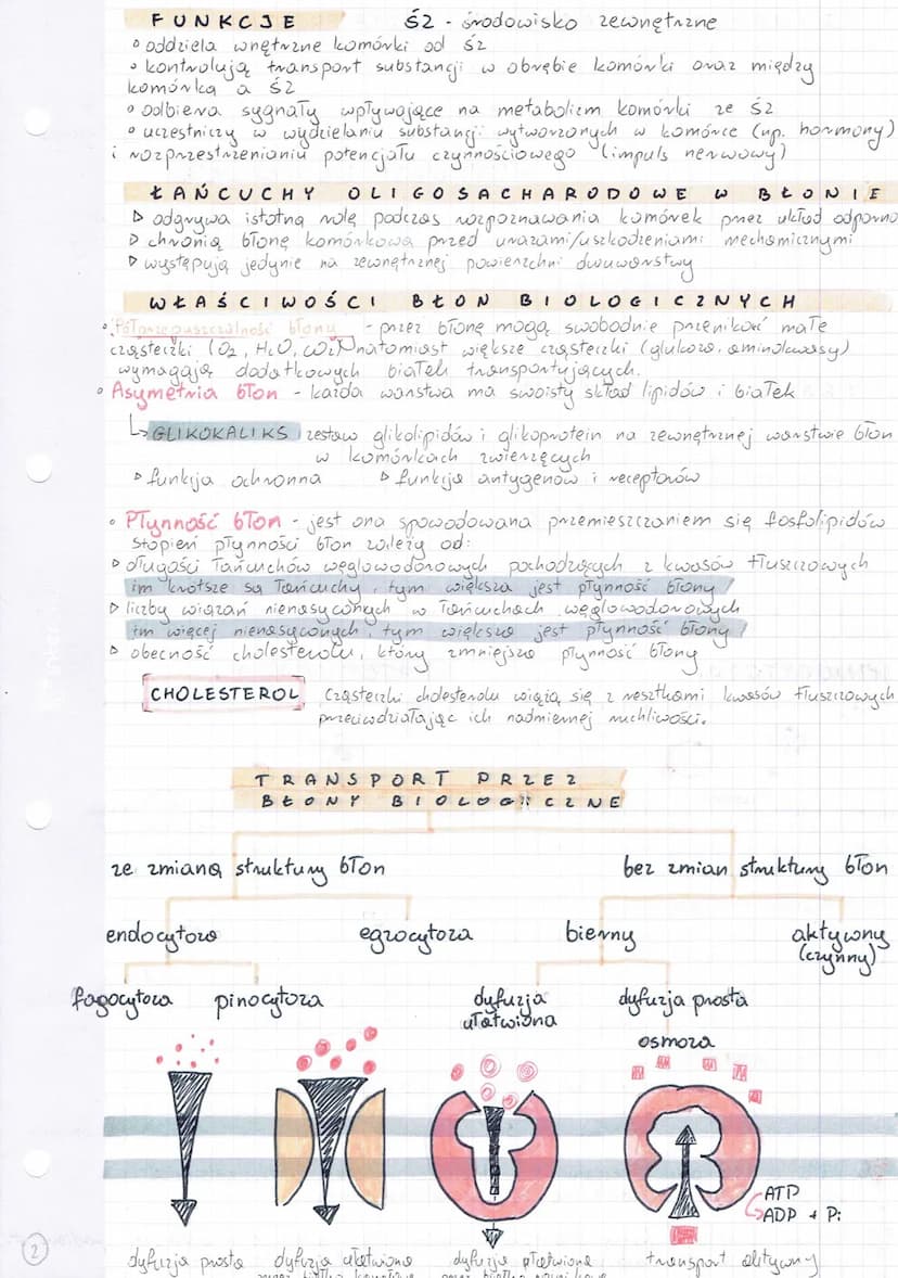 
<h2 id="definicjakomrki">Definicja komórki</h2>
<p>Komórka jest najmniejszą, podstawową jednostką zdolną do przeprowadzenia własnego metabo