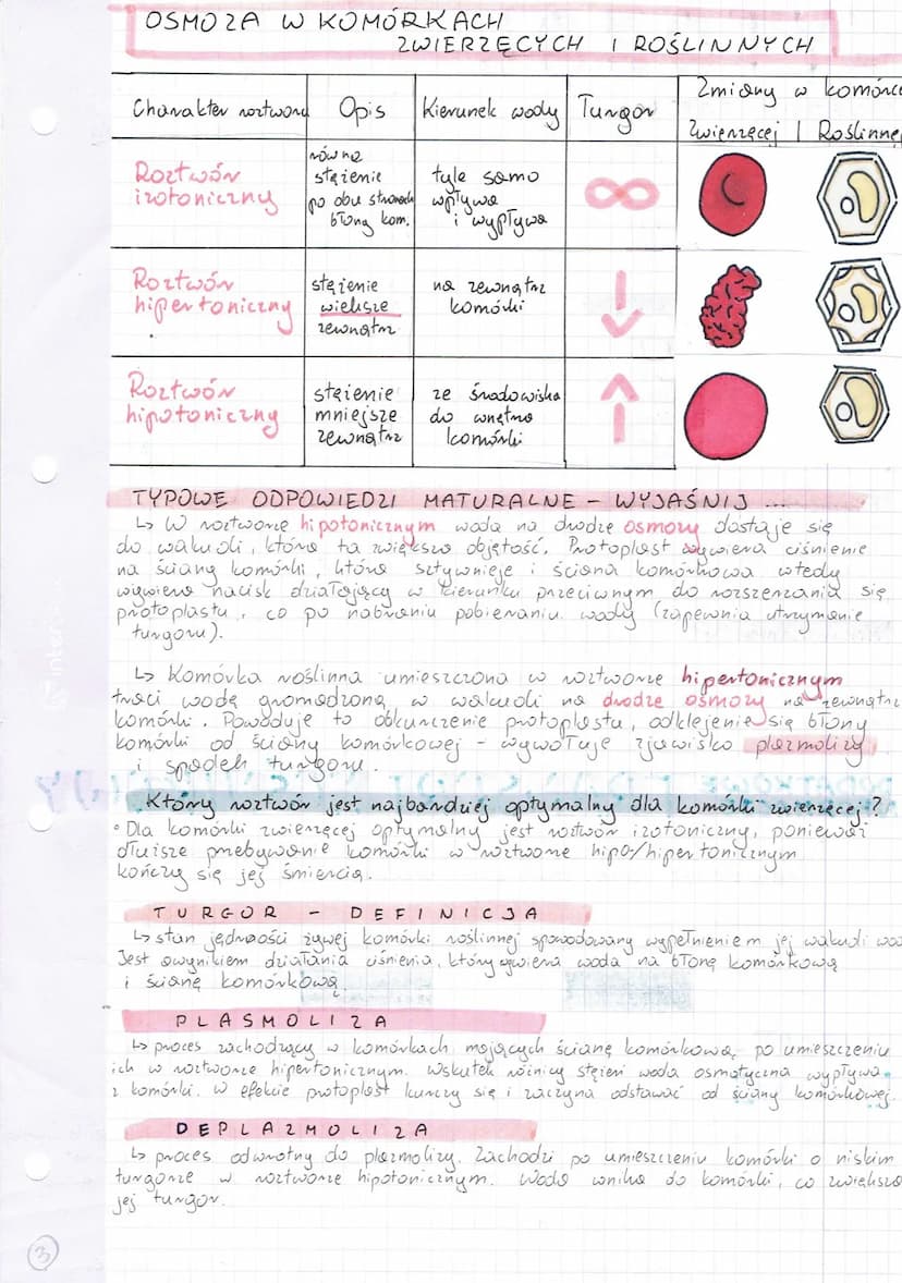 
<h2 id="definicjakomrki">Definicja komórki</h2>
<p>Komórka jest najmniejszą, podstawową jednostką zdolną do przeprowadzenia własnego metabo