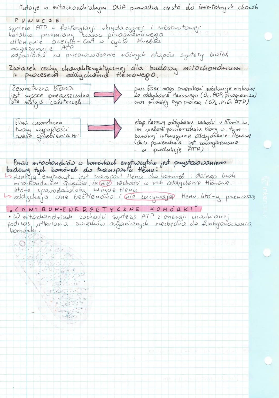 
<h2 id="definicjakomrki">Definicja komórki</h2>
<p>Komórka jest najmniejszą, podstawową jednostką zdolną do przeprowadzenia własnego metabo