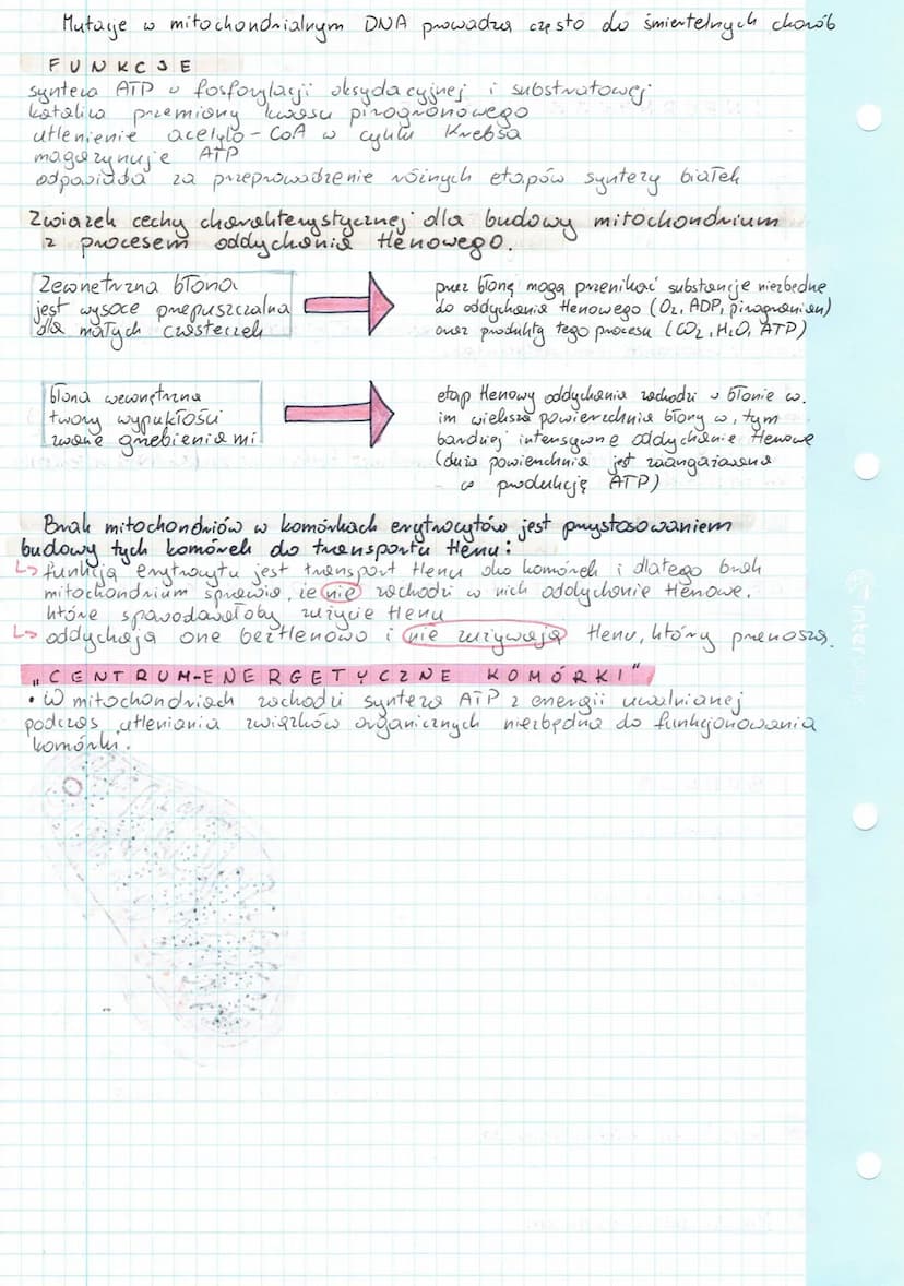 
<h2 id="definicjakomrki">Definicja komórki</h2>
<p>Komórka jest najmniejszą, podstawową jednostką zdolną do przeprowadzenia własnego metabo