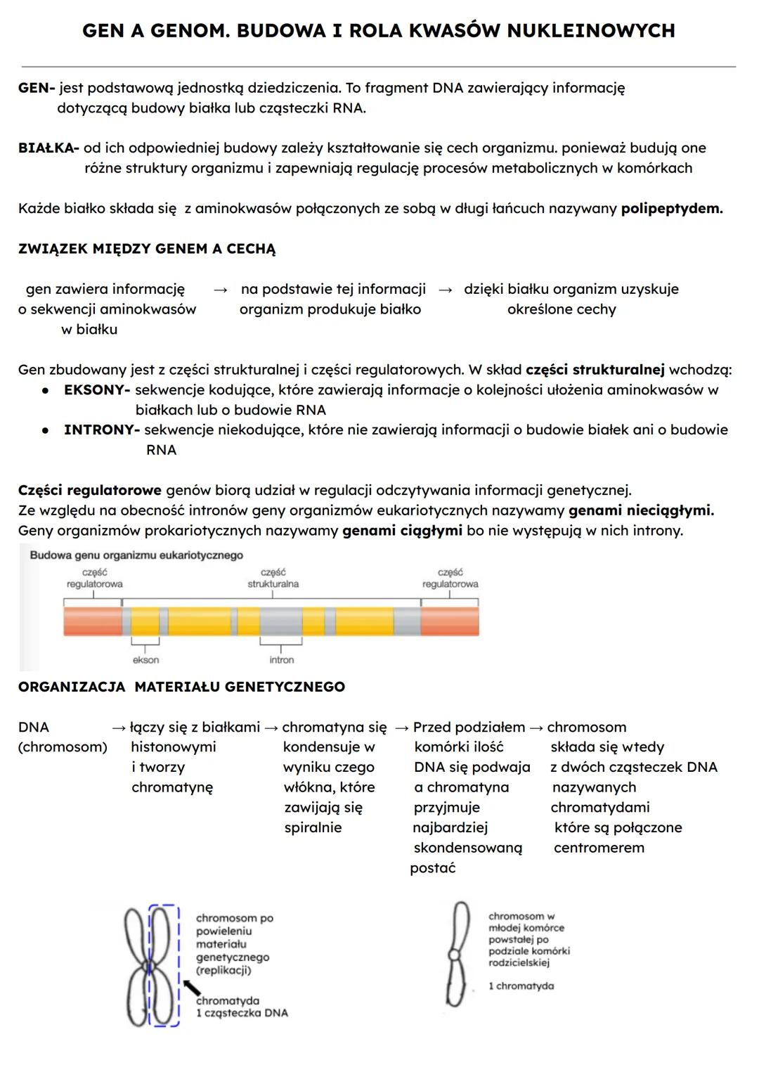 GEN A GENOM. BUDOWA I ROLA KWASÓW NUKLEINOWYCH
GEN- jest podstawową jednostką dziedziczenia. To fragment DNA zawierający informację
dotycząc