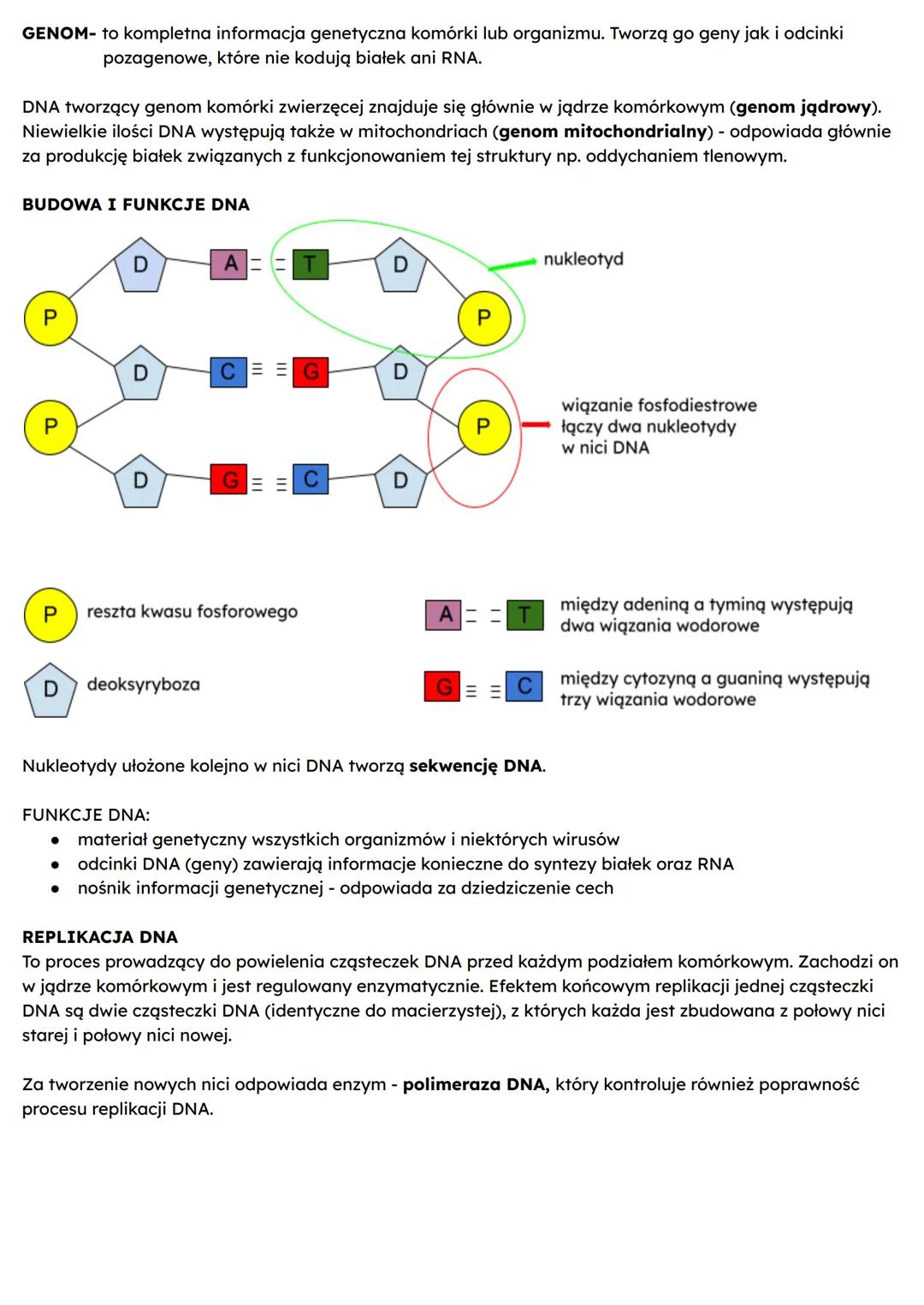 GEN A GENOM. BUDOWA I ROLA KWASÓW NUKLEINOWYCH
GEN- jest podstawową jednostką dziedziczenia. To fragment DNA zawierający informację
dotycząc
