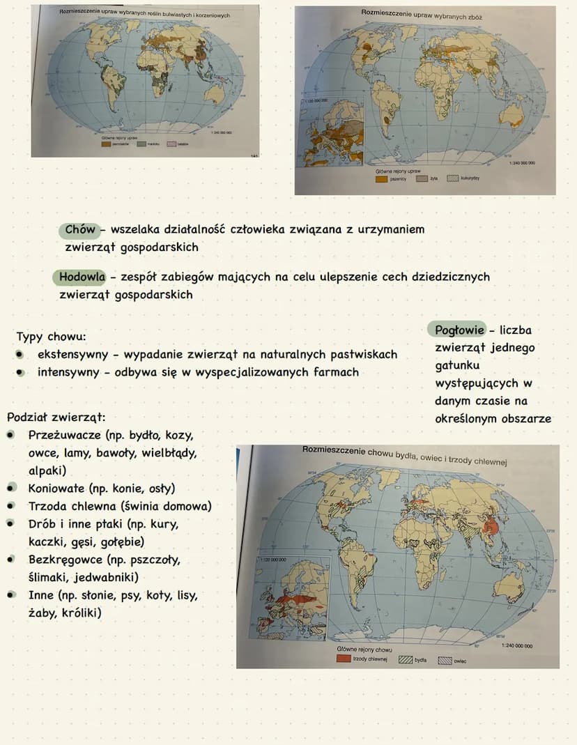 Warunki klimatyczne (agroklimatyczne): nasłonecznienie, temperatura
powietrza, ilość i rozkład opadów atmosferycznych, wiatry i
występowanie