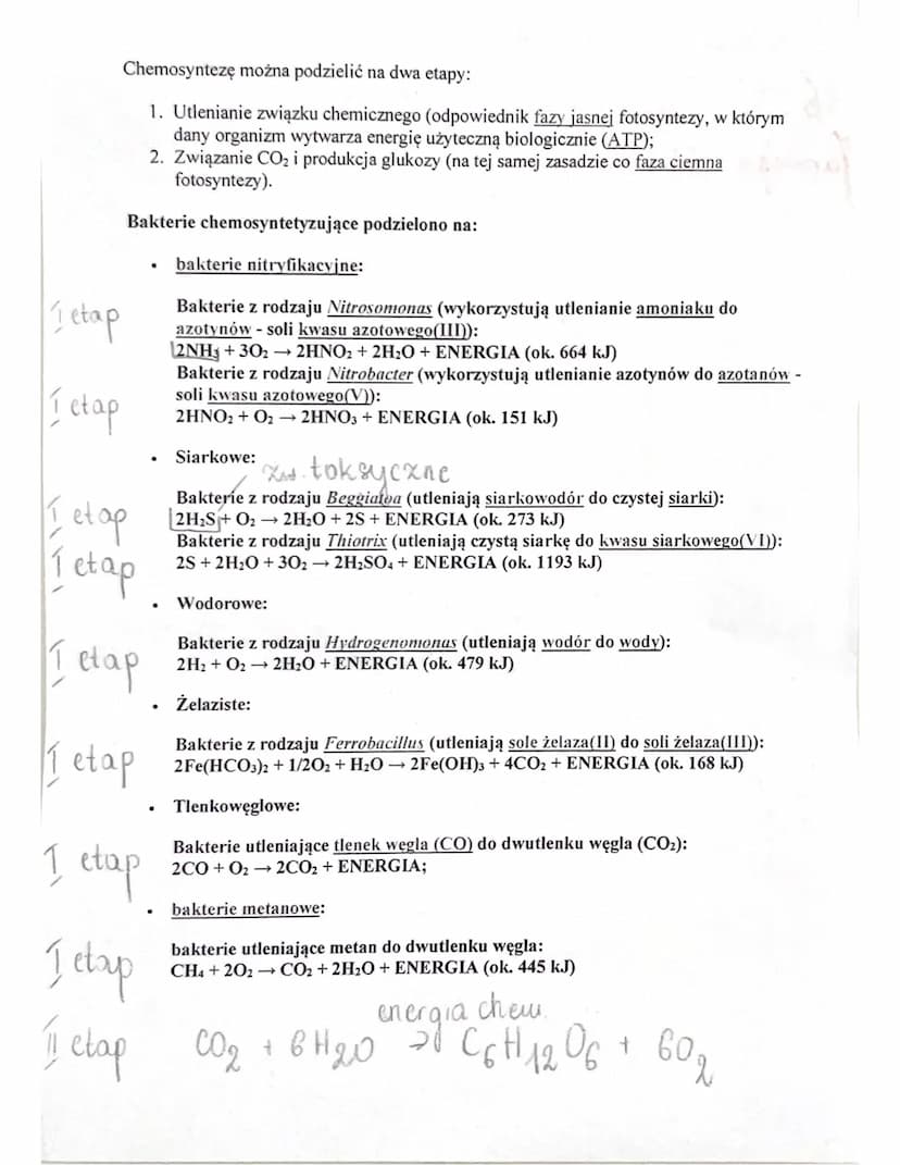 Chemosynteza
Chemosyntexa - proces syntexy związków organicznych
nieorganicznych przy udziale energii pothochodzącej
I utlenkania zwigxków n