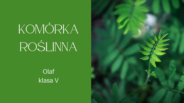 Know Komórka roślinna thumbnail