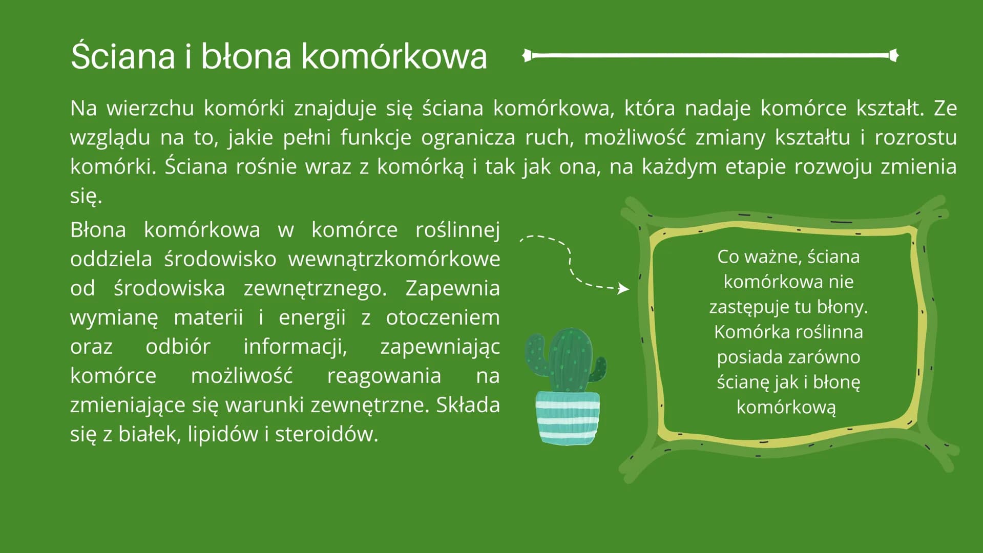 
<h2 id="cotojestkomrkarolinna">Co to jest komórka roślinna?</h2>
<p>Jak już wiemy z lekcji o komórkach zwierzęcych, każdy żywy organizm skł