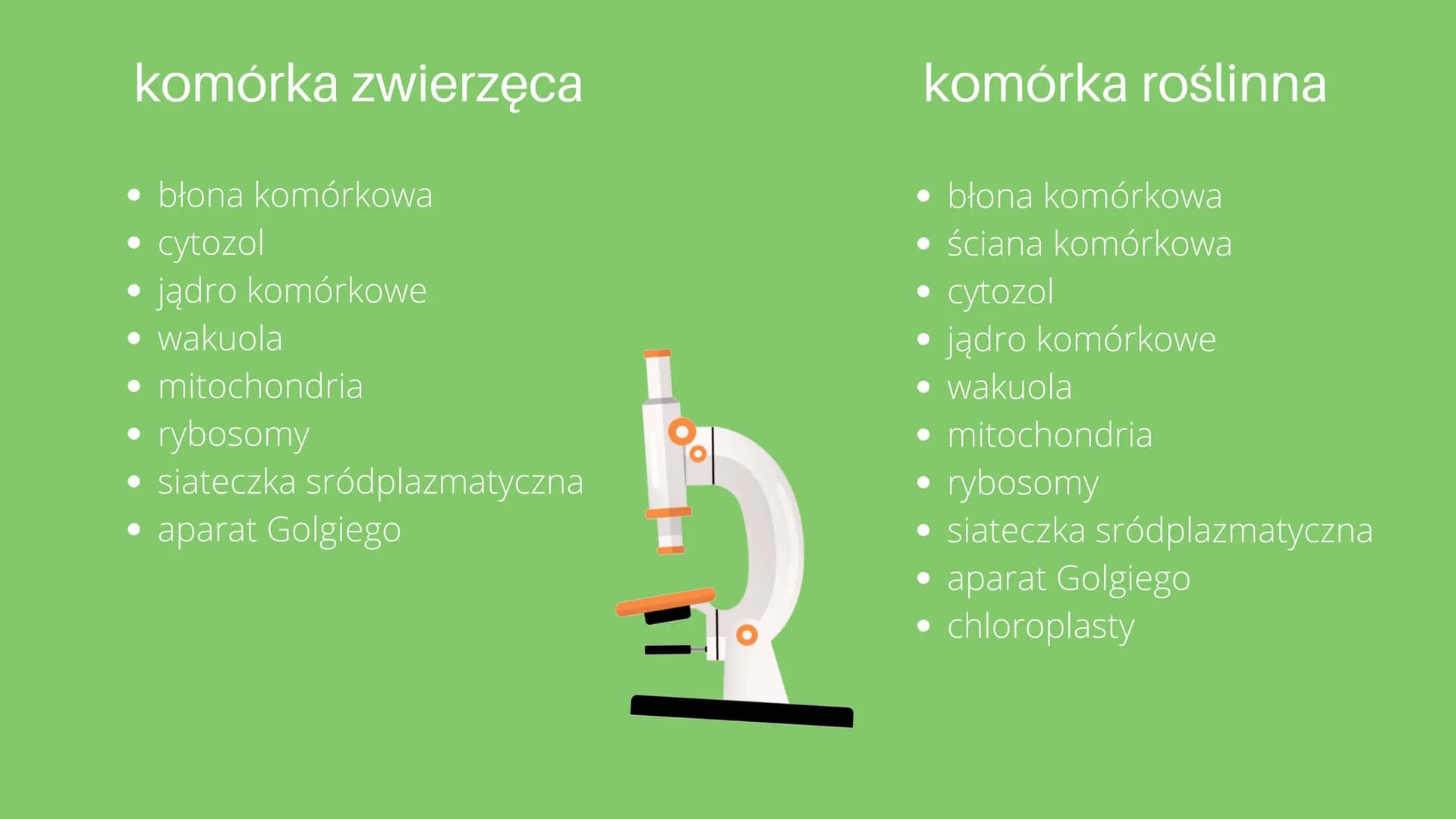 
<h2 id="cotojestkomrkarolinna">Co to jest komórka roślinna?</h2>
<p>Jak już wiemy z lekcji o komórkach zwierzęcych, każdy żywy organizm skł