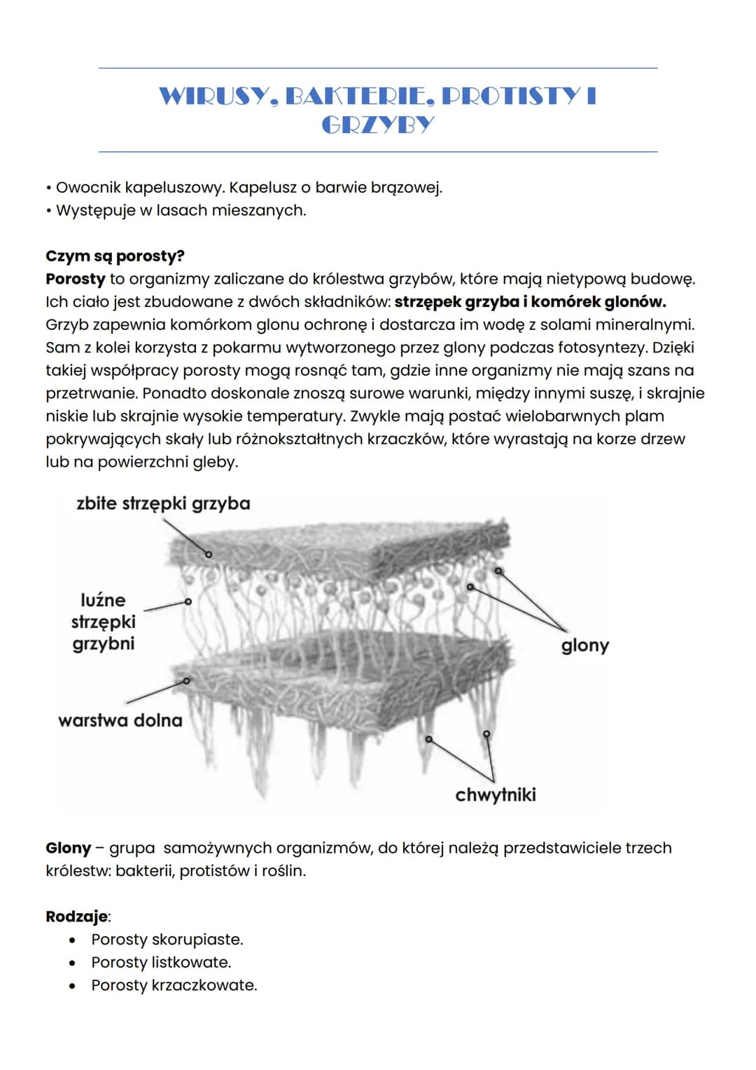 Biologia Klasa 5 Wirusy Bakterie Protisty I Grzyby Test Proste wyjaśnienie: Wirusy, bakterie, protisty i grzyby - Sprawdzian