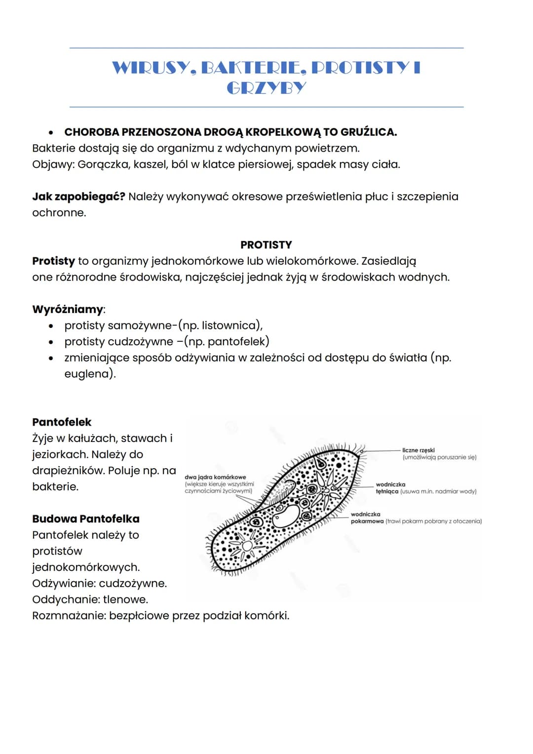 WIRUSY, BAKTERIE, PROTISTY I
GRZYBY
WIRUSY
Wirusy to małe cząsteczki zakaźne, które po wniknięciu do komórek organizmu mogą
wywoływać chorob