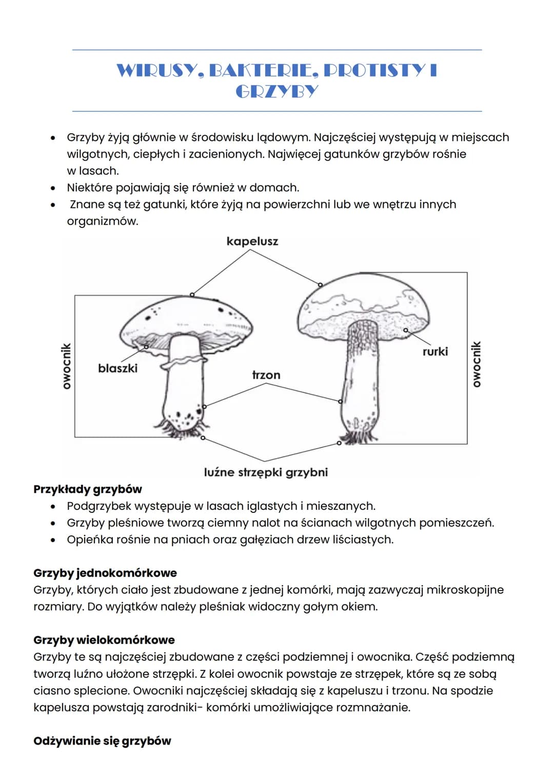 WIRUSY, BAKTERIE, PROTISTY I
GRZYBY
WIRUSY
Wirusy to małe cząsteczki zakaźne, które po wniknięciu do komórek organizmu mogą
wywoływać chorob