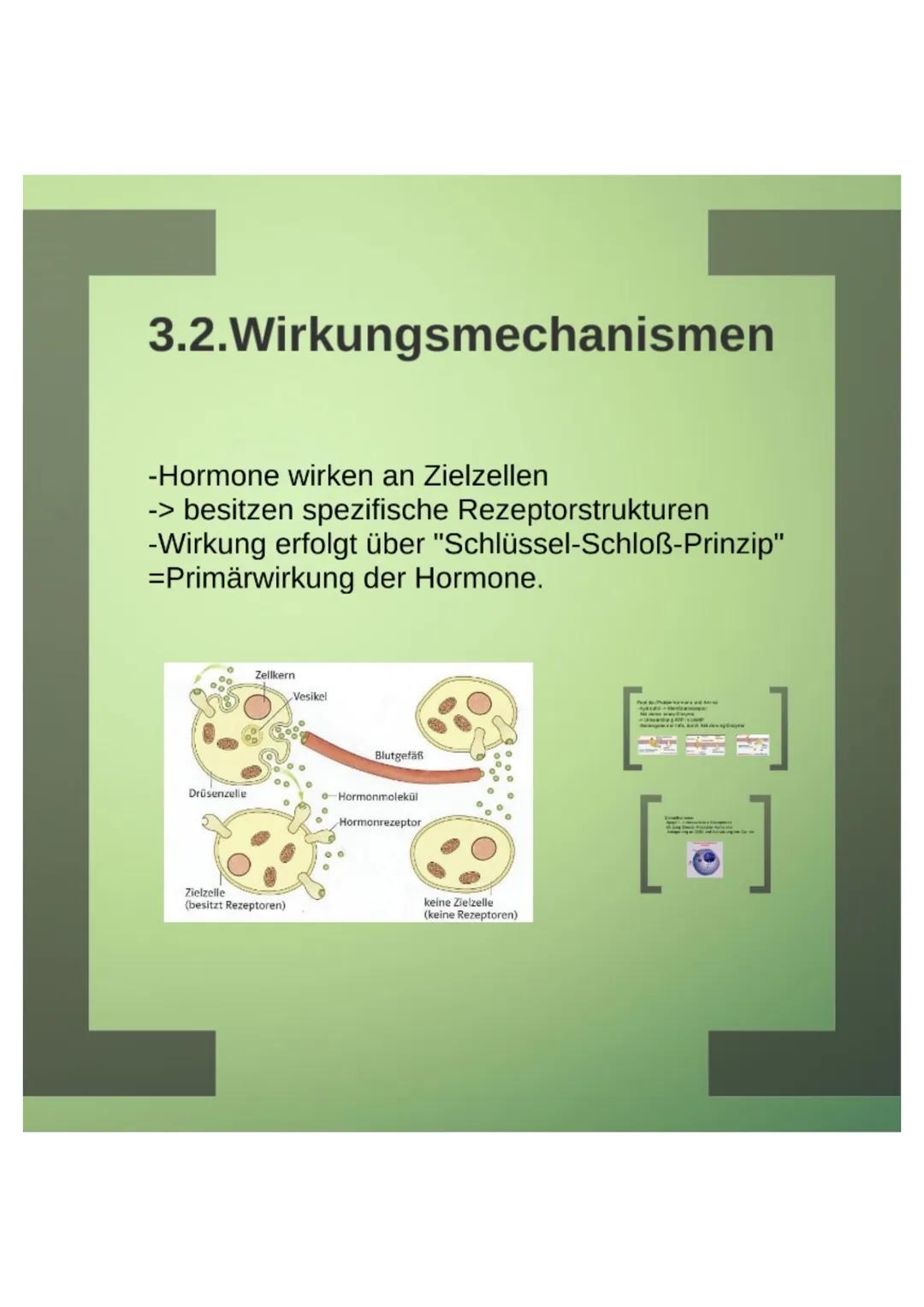 1.Hormone

1.1.Definition
-chemische Signal- und Botenstoffe
-übermitteln Informationen und
regeln wichtige Vorgänge

1.2.Klassifizierung
-U