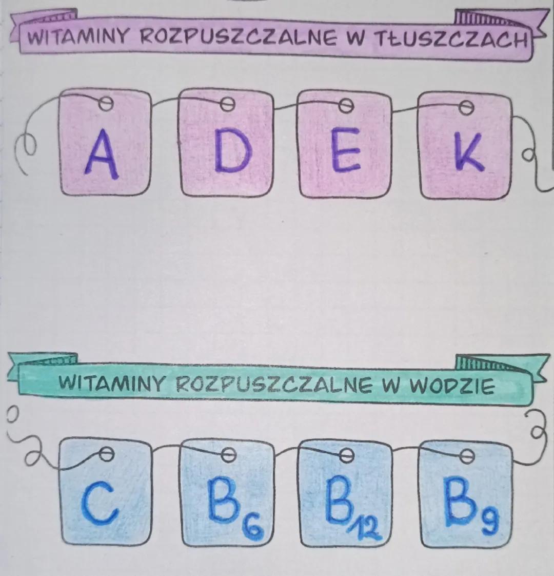 # BIOLOGIA sprawdzian

1. Wymień składniki pokarmowe:

- białka,
- witaminy,
- cukry,
- sole mineralne,
- Huszcze,
- woda.

2. składniki
pok
