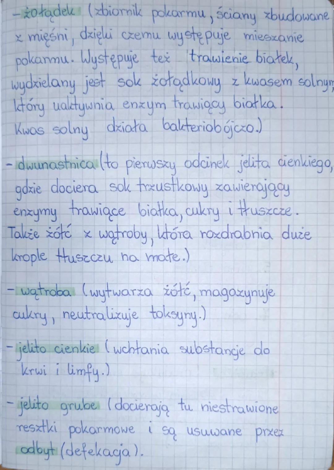 # BIOLOGIA sprawdzian

1. Wymień składniki pokarmowe:

- białka,
- witaminy,
- cukry,
- sole mineralne,
- Huszcze,
- woda.

2. składniki
pok