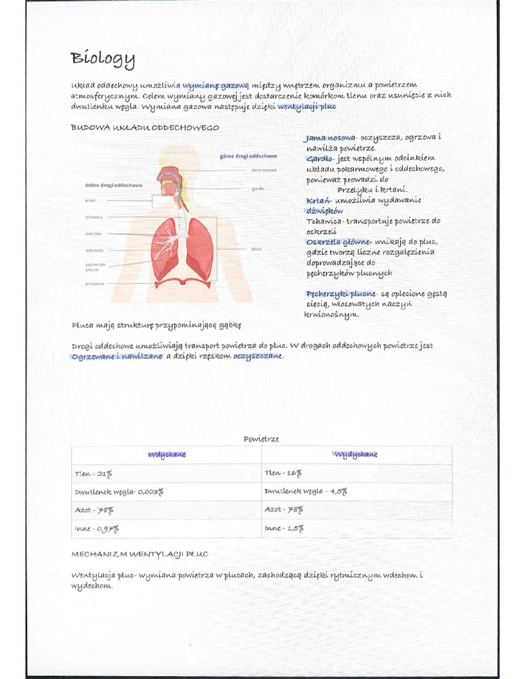 Biologia układ oddechowy 