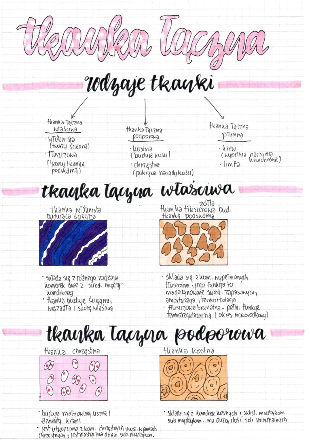 thankn laczyn
rodzaje tkanki
tkanka Tączna
NTAŚCIWa
Włóknista
(tworzy ścięgna)
•Tuszczowa
(twory thanke
podshoma)
thanka wohnista
budujaca s