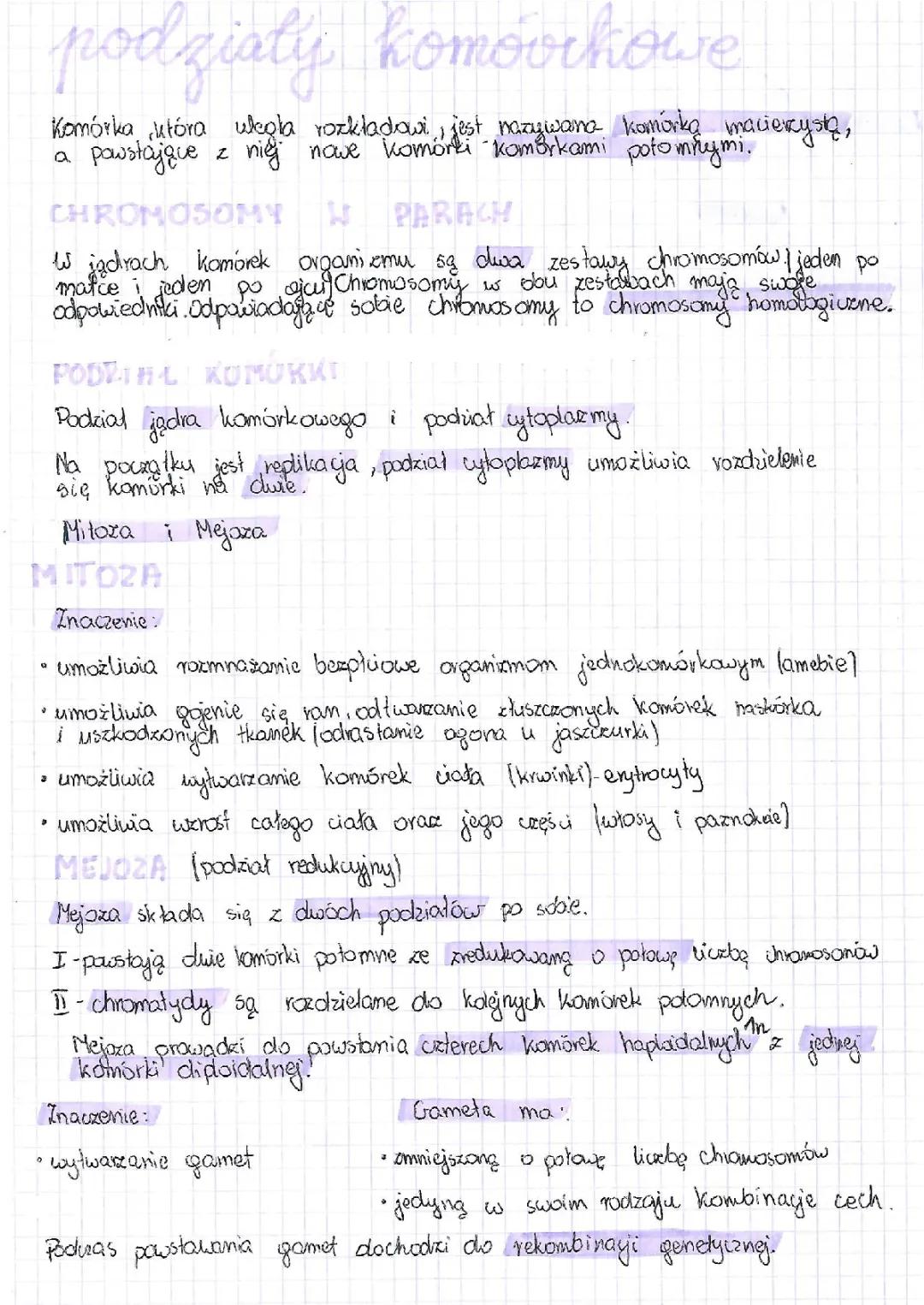 podziały komórkowe 