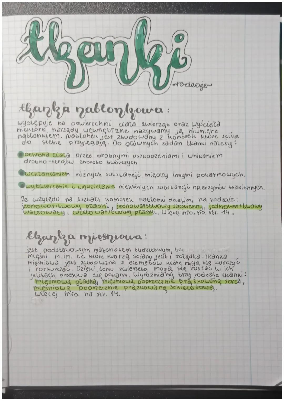 Poznaj Biologię Tkanki – Klasa 6