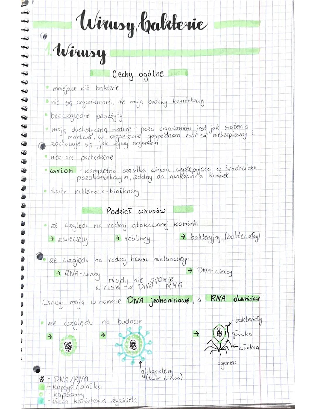 Wirusy i Bakterie: Kluczowe Informacje