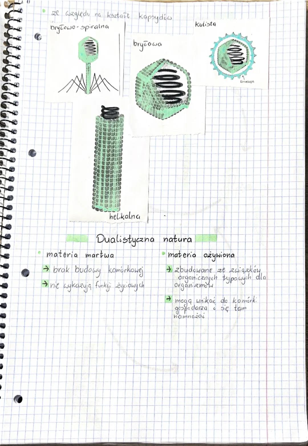 Wirusy baleterie
Wirusy
Cechy ogólne
mniejsze niż bakterie
• nie są organizmami, nie mają budowy komórkowej
• bezwzględne pasczyty
•
• mają 