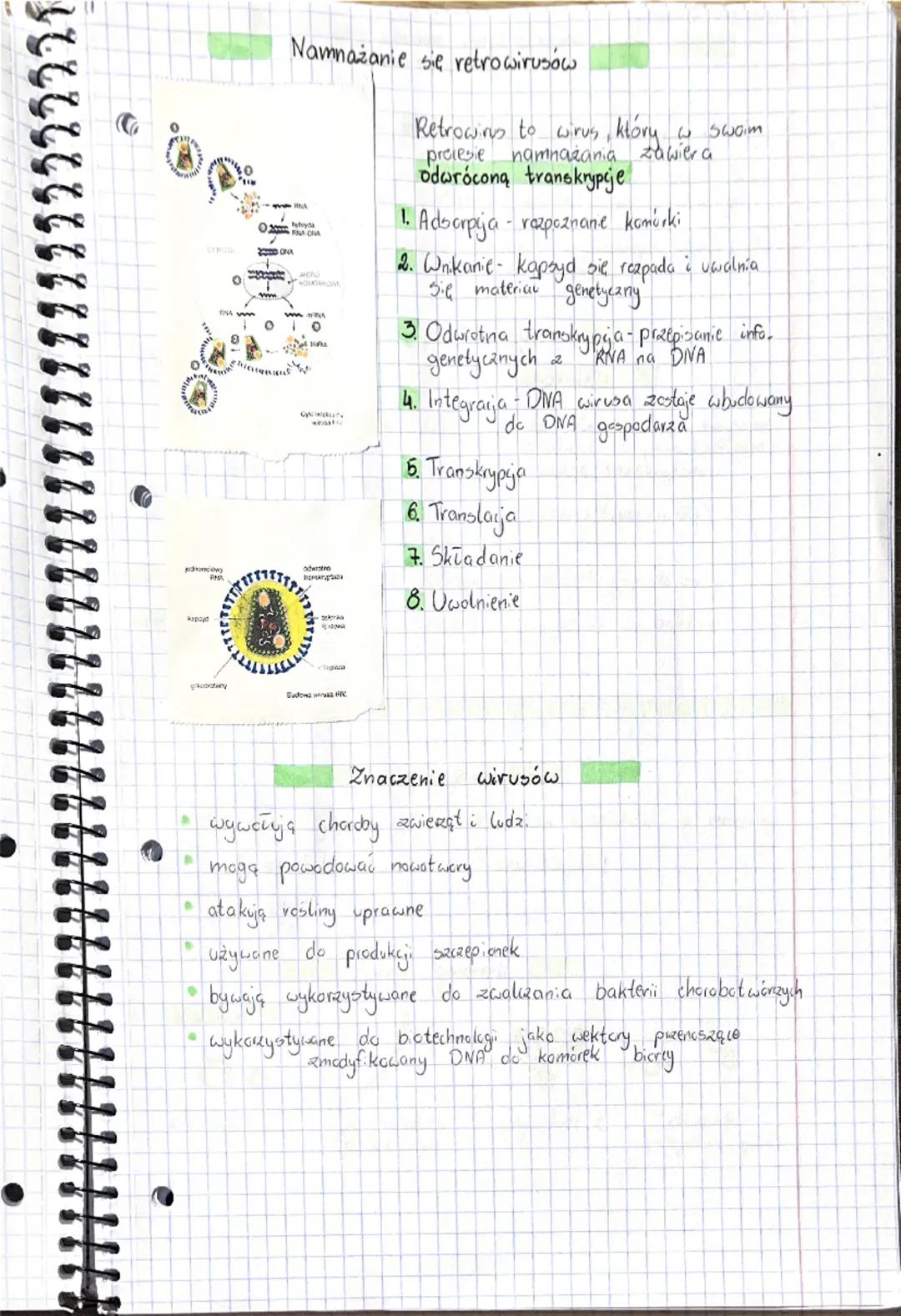 Wirusy baleterie
Wirusy
Cechy ogólne
mniejsze niż bakterie
• nie są organizmami, nie mają budowy komórkowej
• bezwzględne pasczyty
•
• mają 