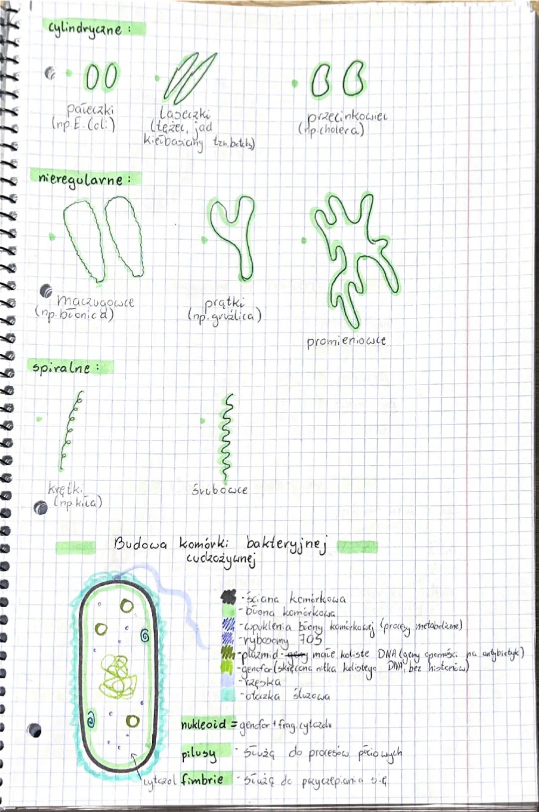 Wirusy baleterie
Wirusy
Cechy ogólne
mniejsze niż bakterie
• nie są organizmami, nie mają budowy komórkowej
• bezwzględne pasczyty
•
• mają 