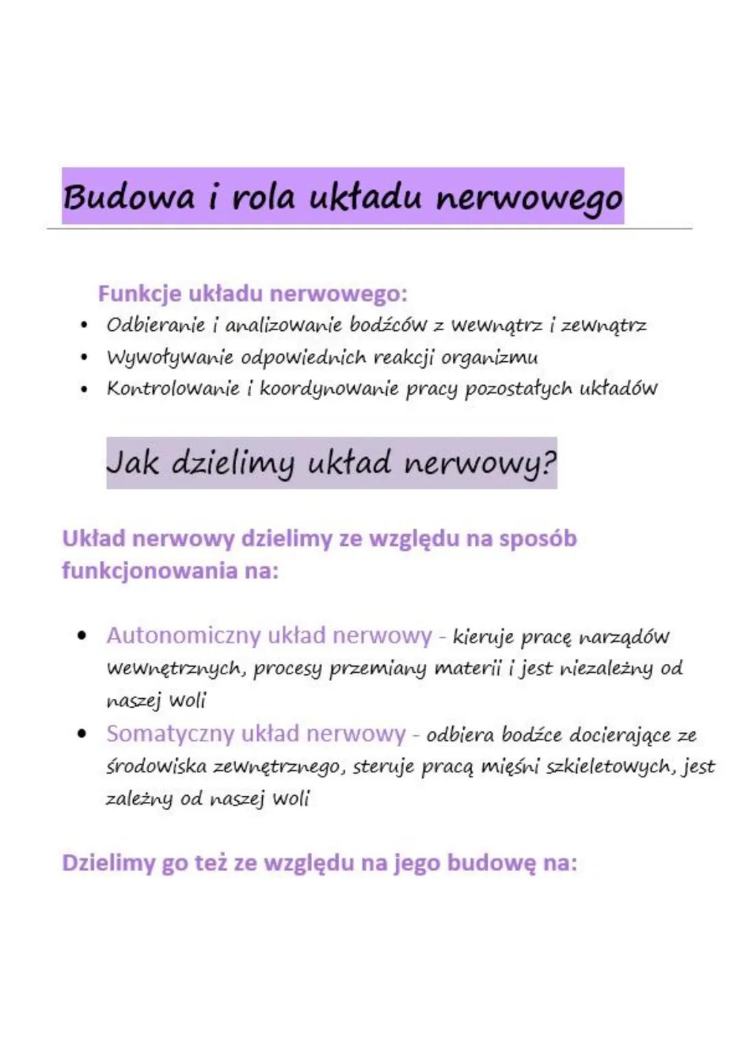 # Budowa i rola układu nerwowego

Funkcje układu nerwowego:
- Odbieranie i analizowanie bodźców z wewnątrz i z zewnątrz
- Wywoływanie odpowi