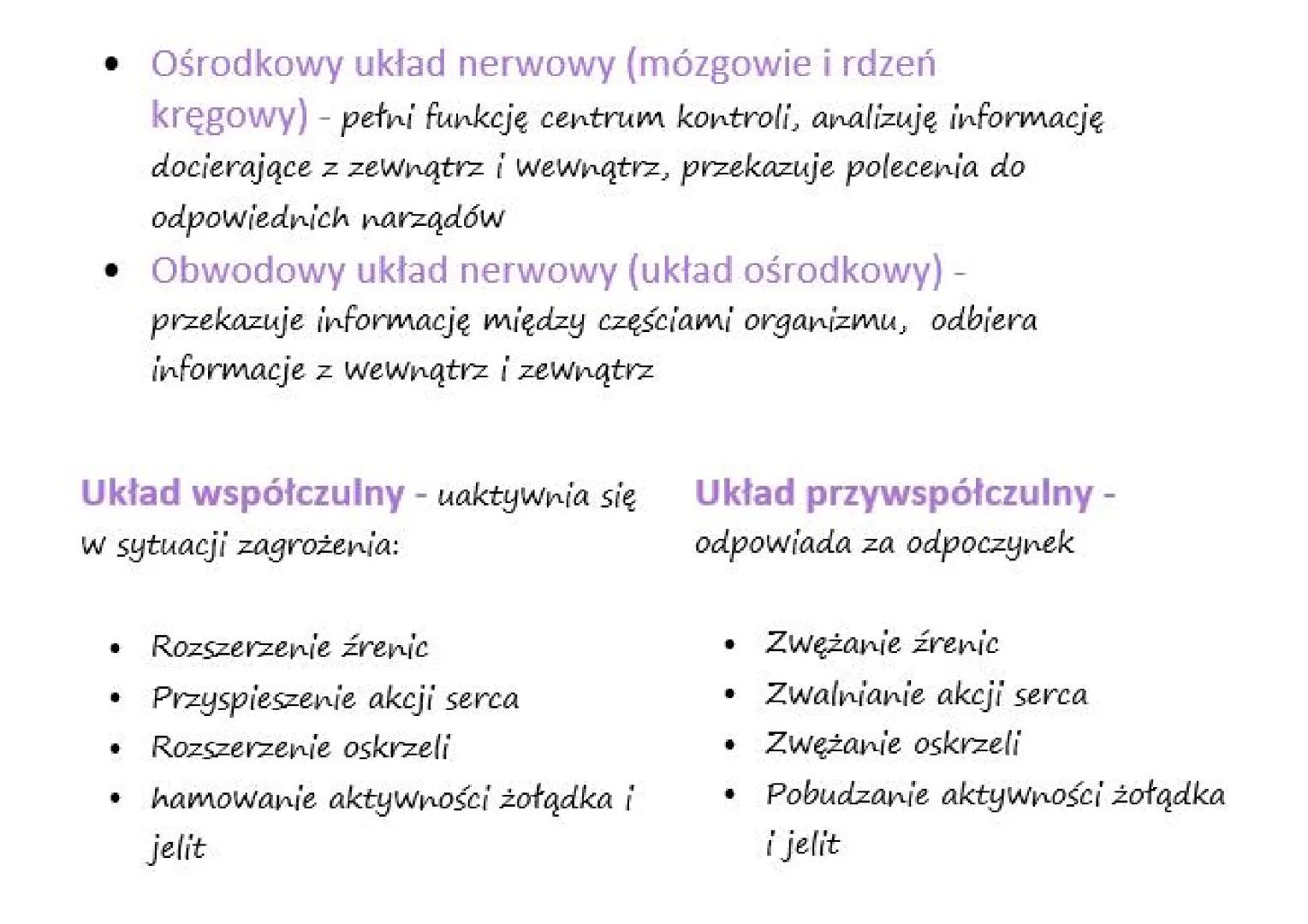 # Budowa i rola układu nerwowego

Funkcje układu nerwowego:
- Odbieranie i analizowanie bodźców z wewnątrz i z zewnątrz
- Wywoływanie odpowi