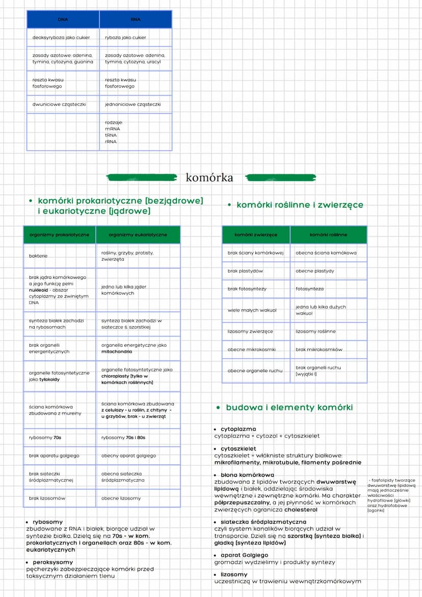działy klasa 1i2
chemia w biologii
⚫ komórka
metabolizm
⚫ rośliny
• organizmy i
poszczególne królestwa
• zwierzęta
biologia
woda:
⚫ cząstecz