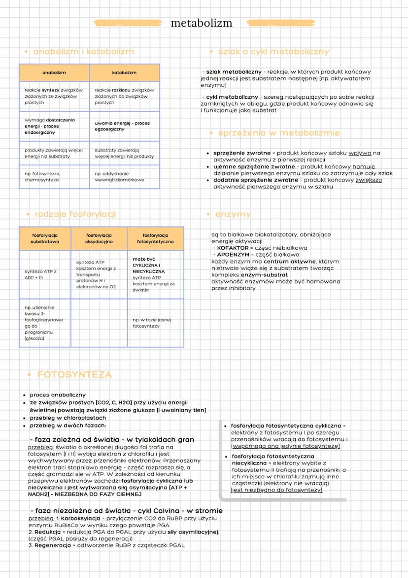 działy klasa 1i2
chemia w biologii
⚫ komórka
metabolizm
⚫ rośliny
• organizmy i
poszczególne królestwa
• zwierzęta
biologia
woda:
⚫ cząstecz