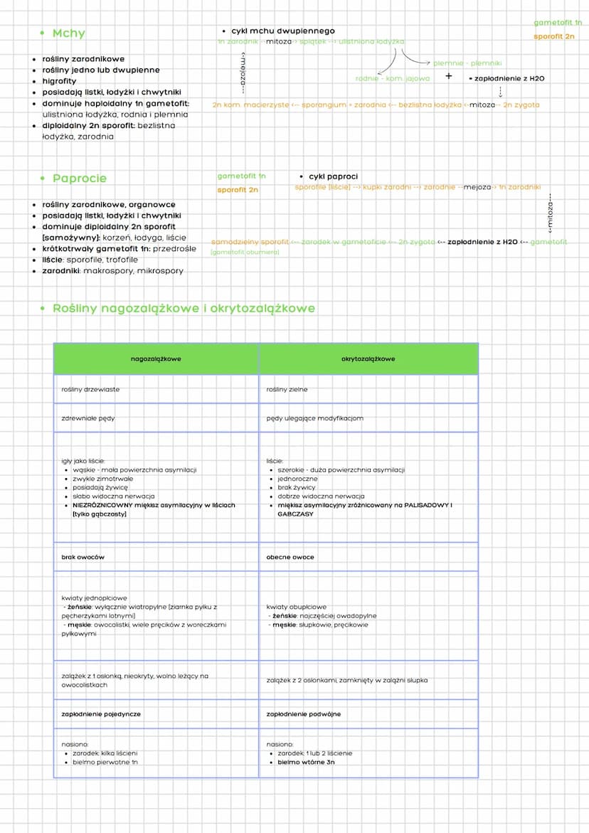 działy klasa 1i2
chemia w biologii
⚫ komórka
metabolizm
⚫ rośliny
• organizmy i
poszczególne królestwa
• zwierzęta
biologia
woda:
⚫ cząstecz