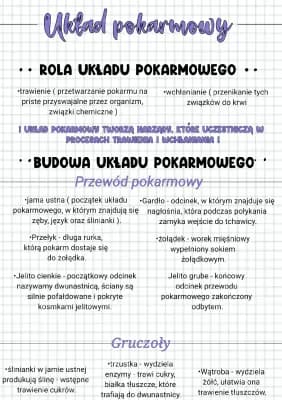 Know Układ pokarmowy. thumbnail