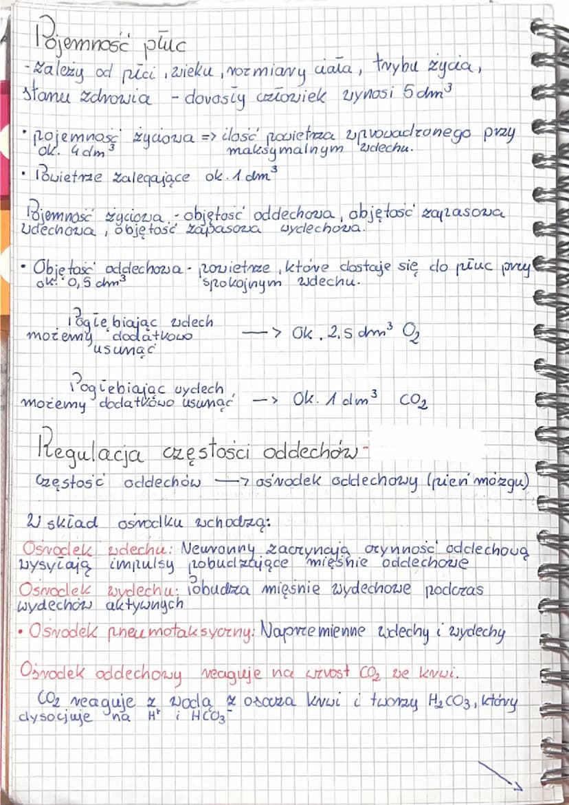 5.3 Wentylacja płuc i wymiana gazowa
Wentylacja płuc zachodzi dzięki mięśniom oddechowym
clo, których należą:
• przepona: płaski mięsień poł
