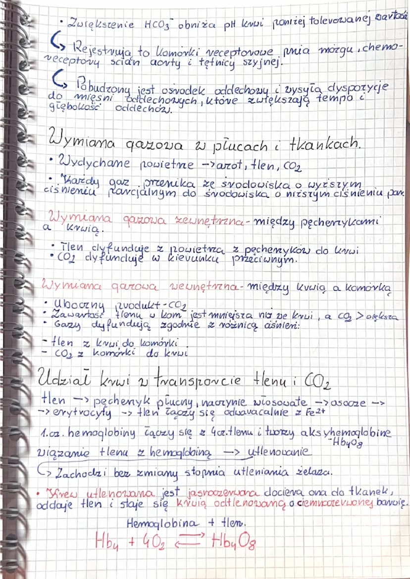 5.3 Wentylacja płuc i wymiana gazowa
Wentylacja płuc zachodzi dzięki mięśniom oddechowym
clo, których należą:
• przepona: płaski mięsień poł