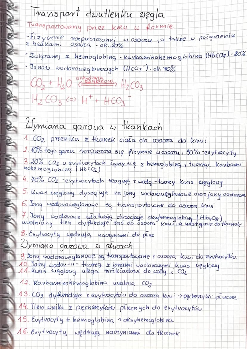 5.3 Wentylacja płuc i wymiana gazowa
Wentylacja płuc zachodzi dzięki mięśniom oddechowym
clo, których należą:
• przepona: płaski mięsień poł