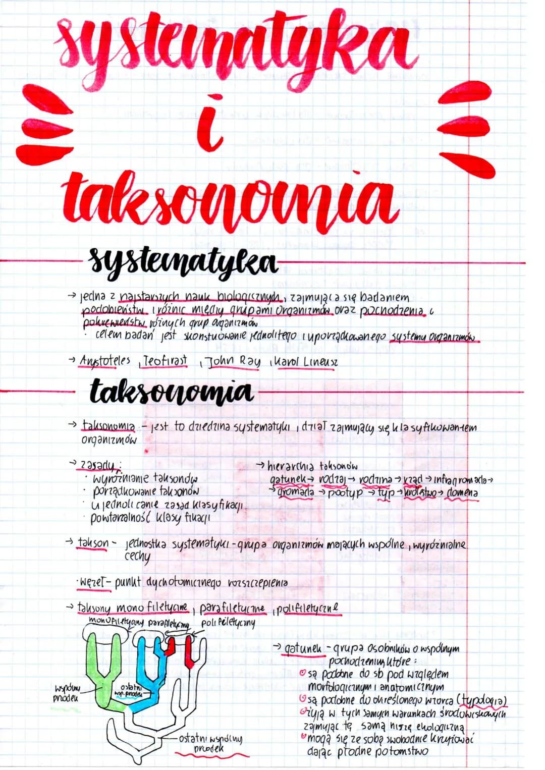 systematyka
i
taksonomia
systematyka
→ jedna z najstarszych nauk biologicznych, zajmująca się badaniem
podobieństw i różnic między grupami O