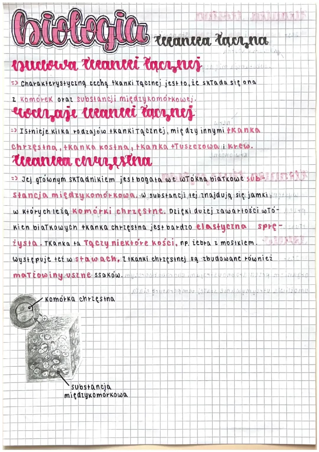 Tkanka łączna