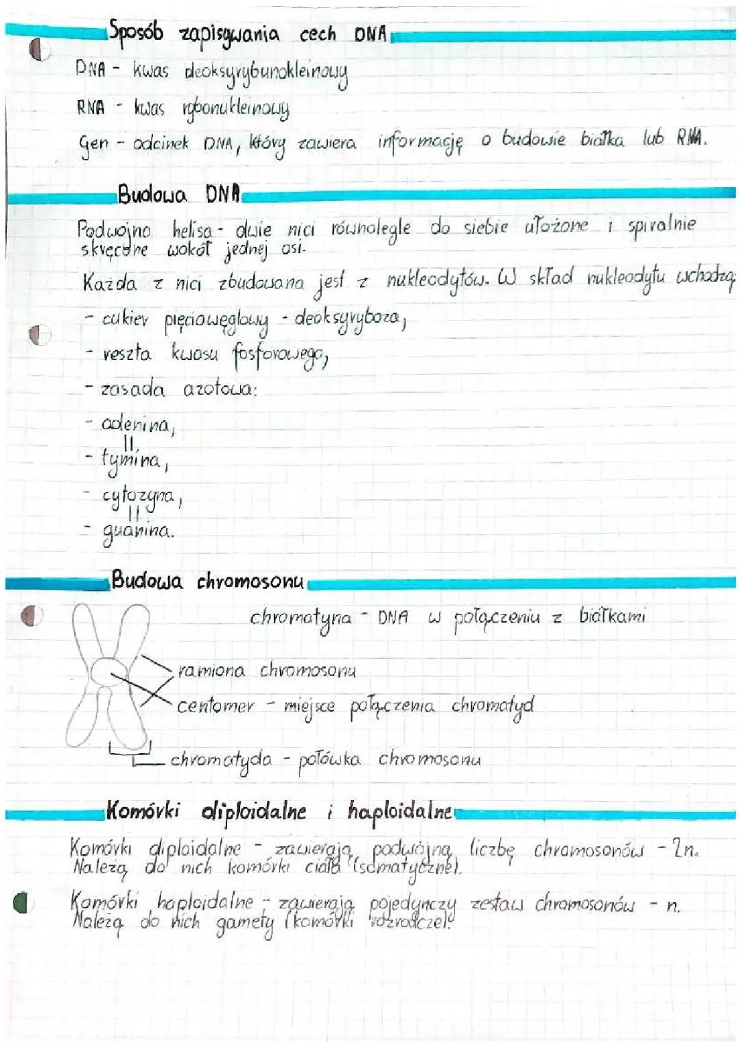 Genetyka: Kluczowe Pojęcia i Procesy
