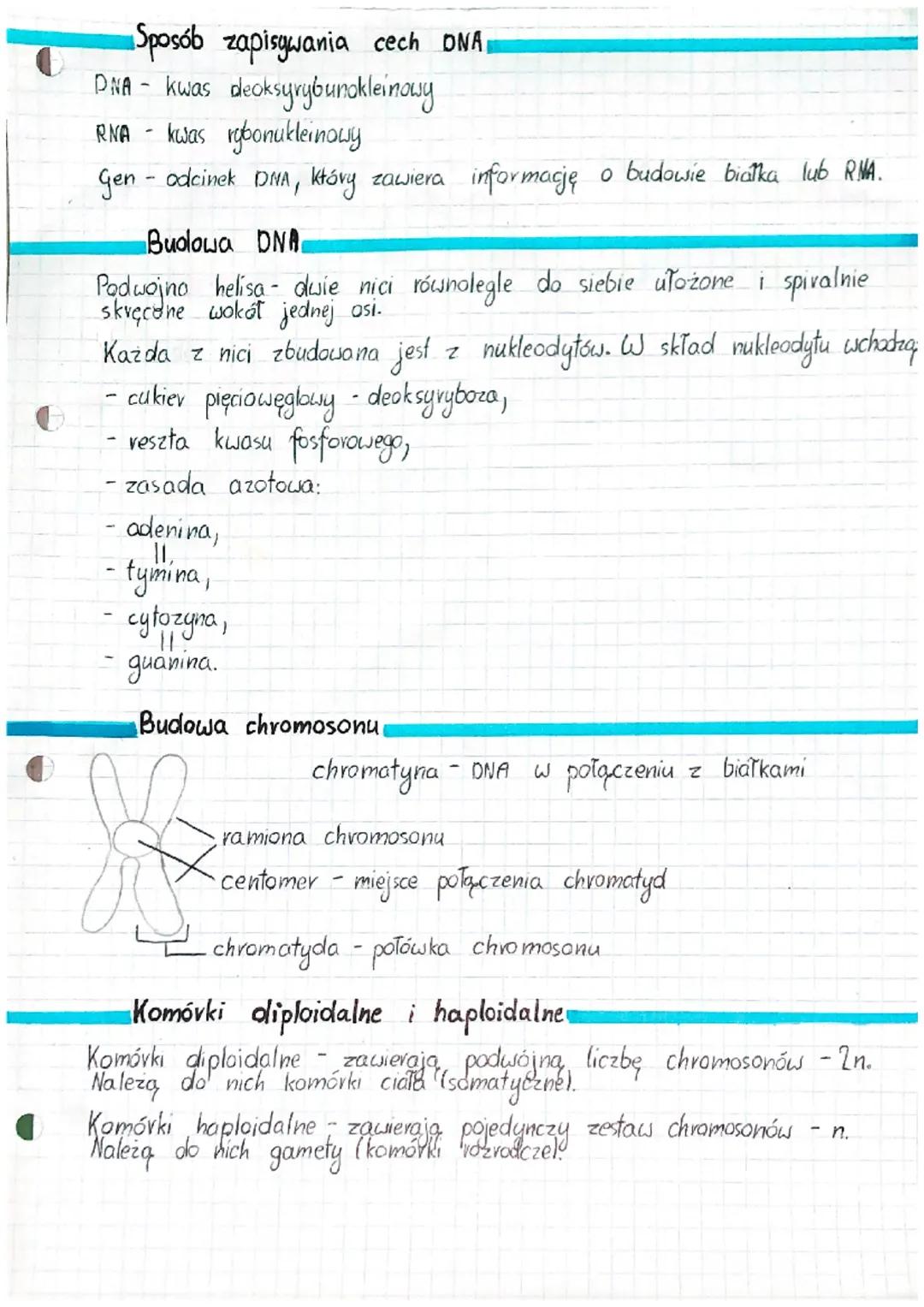 ●
Sposób zapisywania cech DNA
DNA- kwas deoksyrybunokleinowy
RNA- kwas rybonukleinowy
Gen - odcinek DMA, który zawiera informację o budowie 
