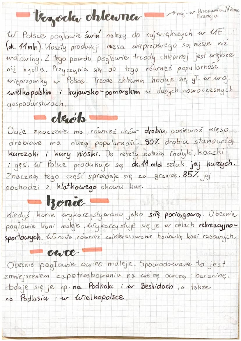 Roslulaja
zwierzica
W polskich gospodarstwach choduje się przede wszystkim
trzodę chlewną, by dło i drób, ale również konie i owce.
byello
→