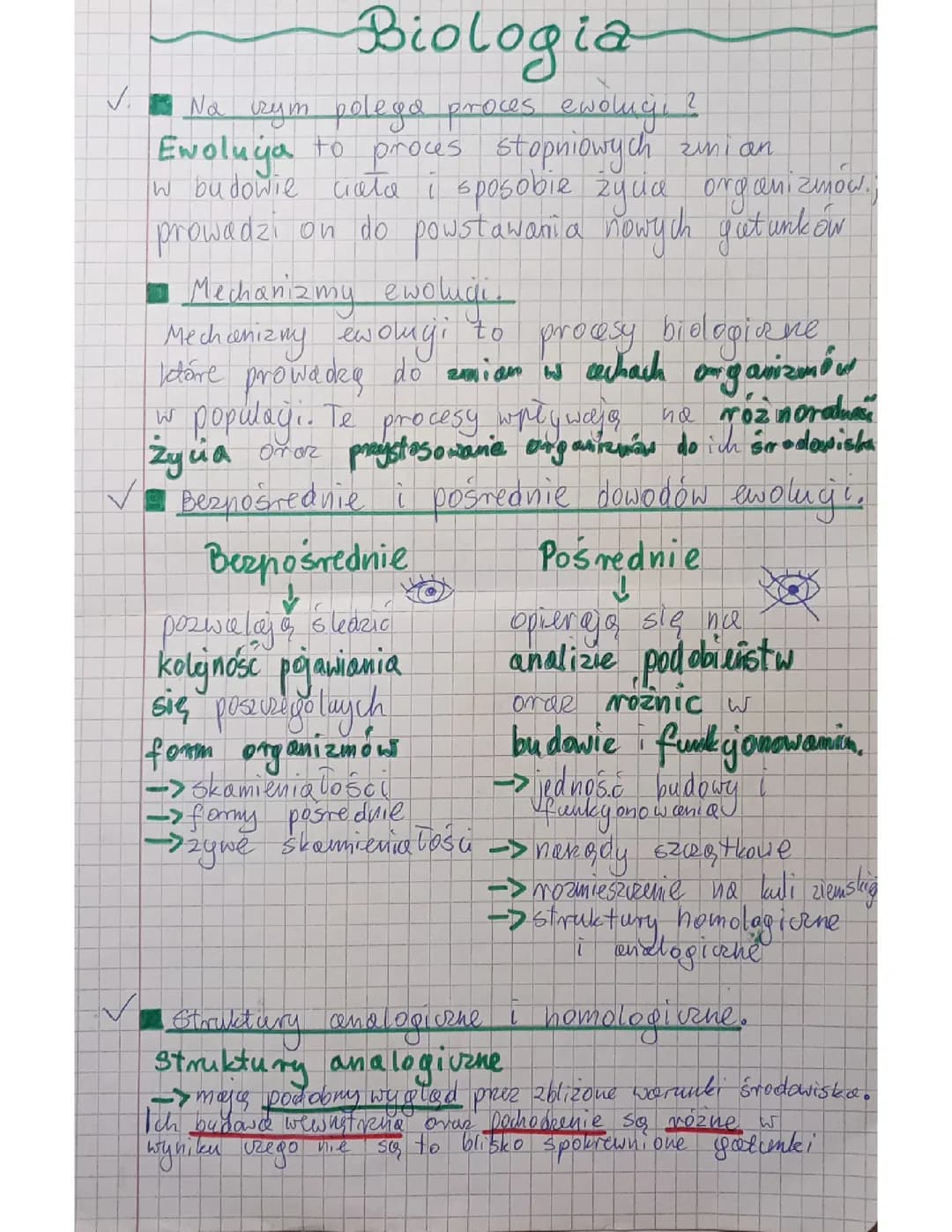 Ewolucja życia 🦍