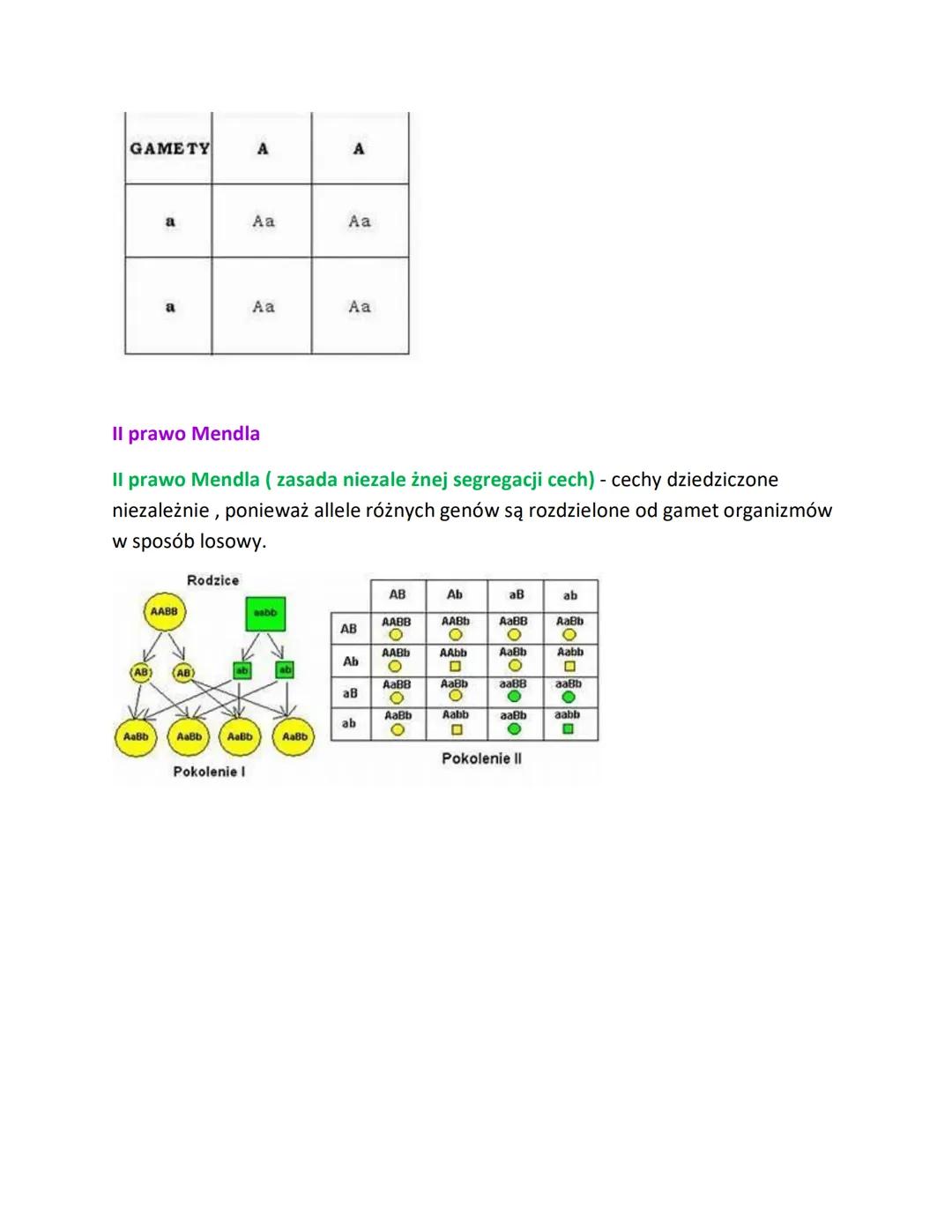 Till prawo Mendla
I prawo Mendla (prawo czystości gamet) - w gametach allele tego samego gemu
wystąpują zawsze pojedynczo
Chromosomy homolog