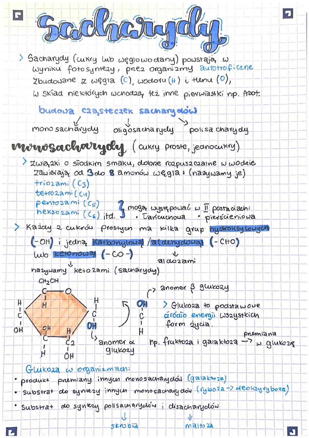 Sacharydy - Podstawy, Rodzaje i Wzory