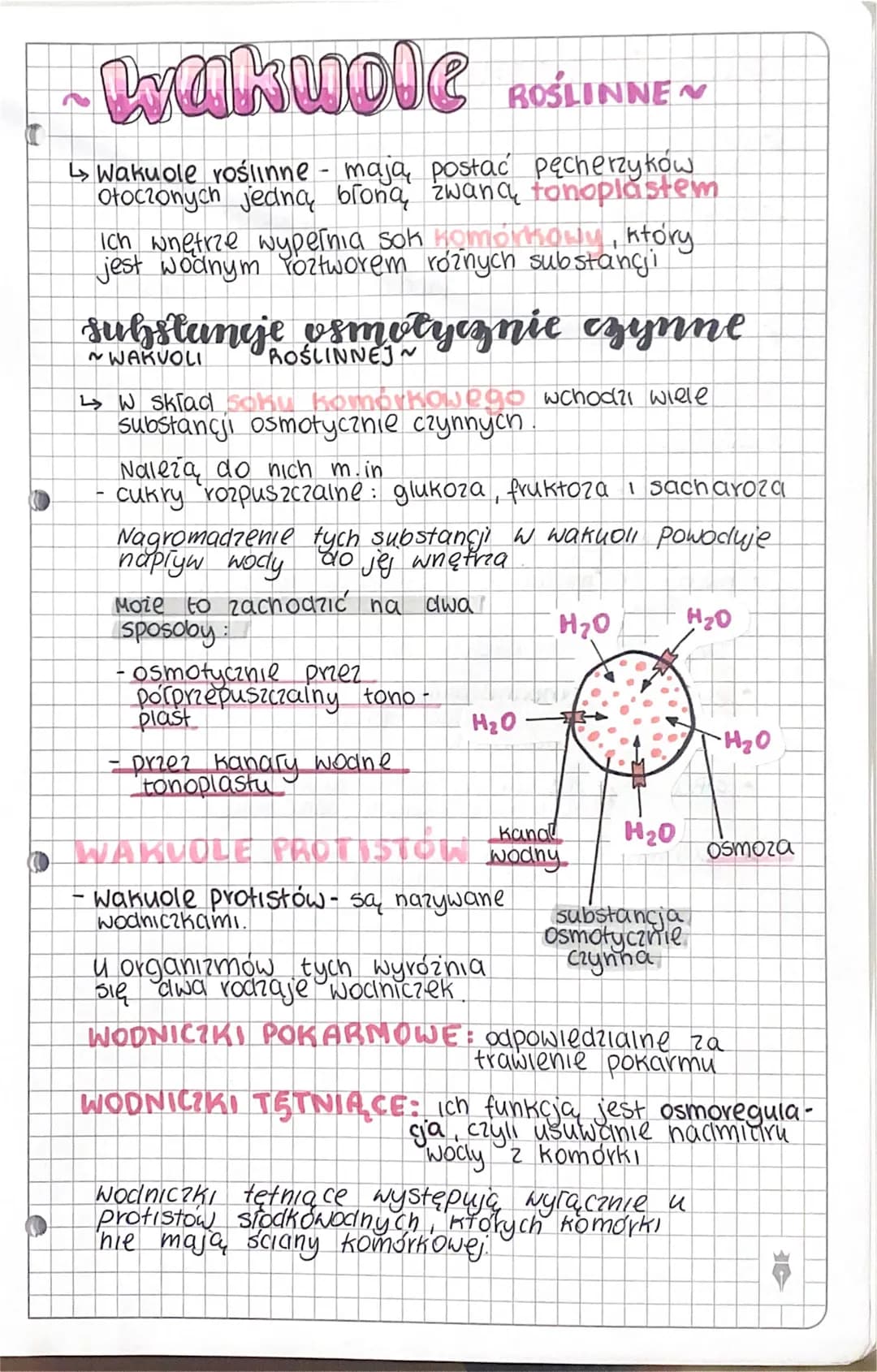 Lyukuole ROŚLINNE ~
↳Wakuole roślinne - mają postać pęcherzyków
otoczonych jedną broną zwana tonoplastem
Ich wnętrze wypeľnia sok Homorkowy,