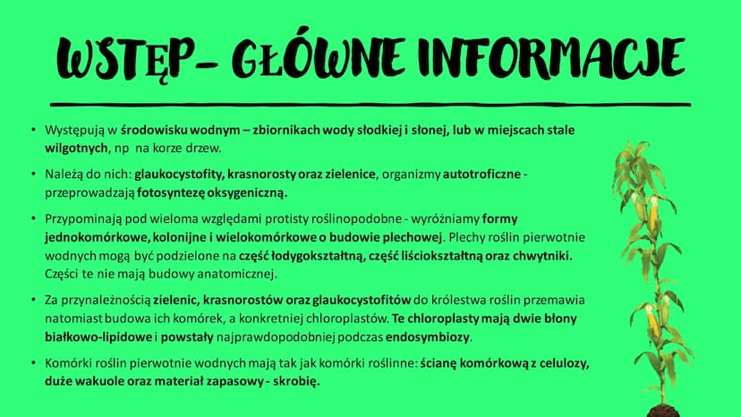 ROŚLINY PIERWOTNIE
WODNE
RÓŻNORODNOŚĆ ROŚLIN WSTĘP- GŁÓWNE INFORMACJE
Występują w środowisku wodnym – zbiornikach wody słodkiej i słonej, lu