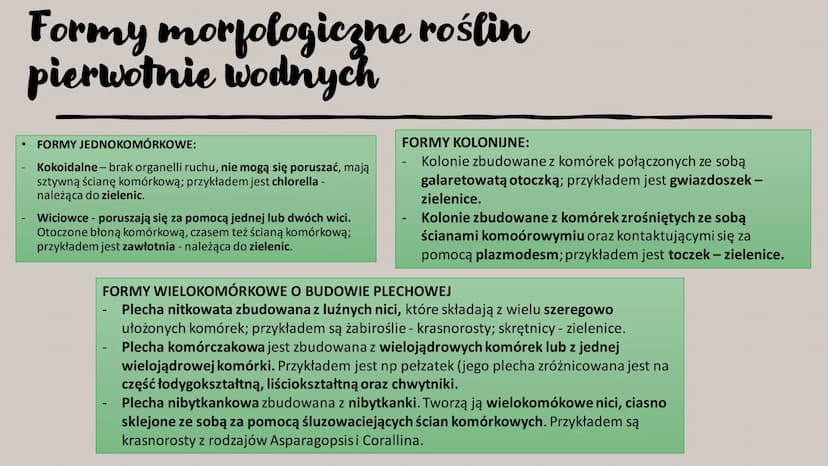 ROŚLINY PIERWOTNIE
WODNE
RÓŻNORODNOŚĆ ROŚLIN WSTĘP- GŁÓWNE INFORMACJE
Występują w środowisku wodnym – zbiornikach wody słodkiej i słonej, lu